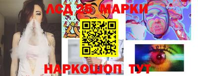 spice Боровичи
