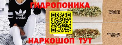 spice Боровичи